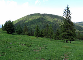 Črni vrh, 1486m nmv . SOTA S5/CP-036