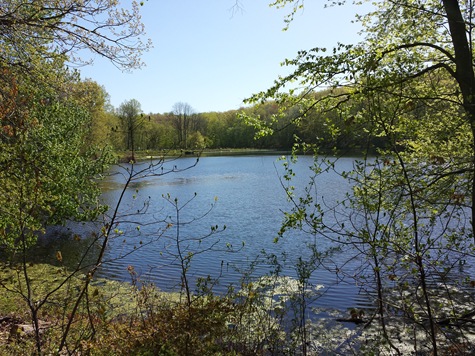 Swan Lake Rockefeller State Park