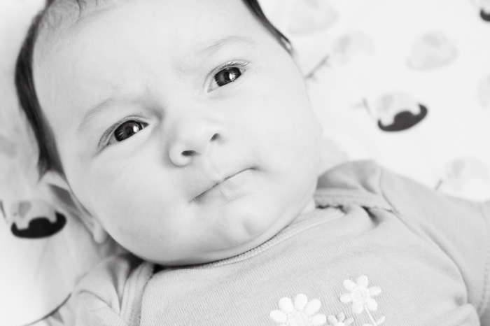 8weeks2-4.jpg 8weeks2 4