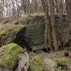 dsc05119.jpg