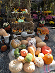 How do I look amidst all of these unusual pumpkins and gourds?