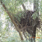 DSCN9682.JPG