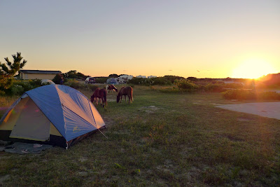 Sunrise with the ponies, just outside our tent.