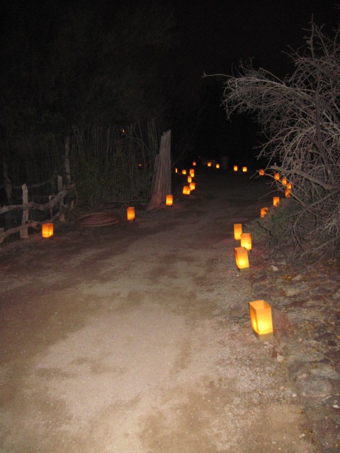 [desert%2520botanical%2520019%255B4%255D.jpg]