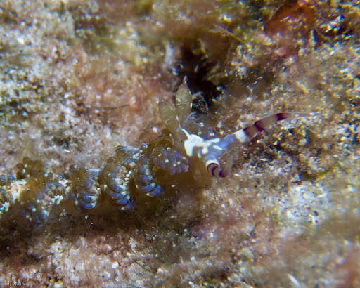 P3242848