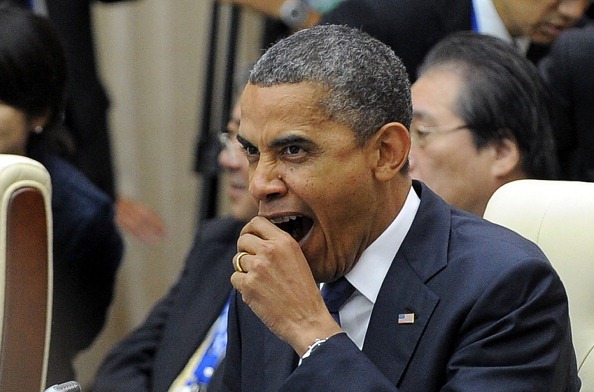 [bo%2520yawn%255B5%255D.jpg]