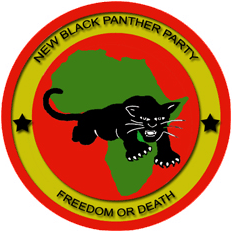 [newblackpantherparty%255B3%255D.png]