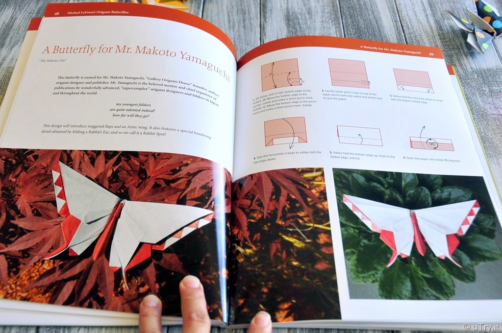 [DSC_5070edited%255B7%255D.jpg]