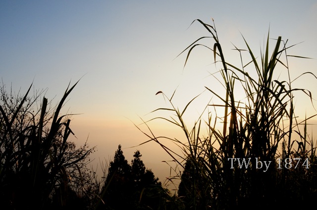 [DSC_5008%255B8%255D.jpg]