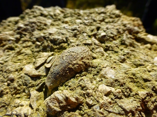 [P1140123%255B2%255D.jpg]