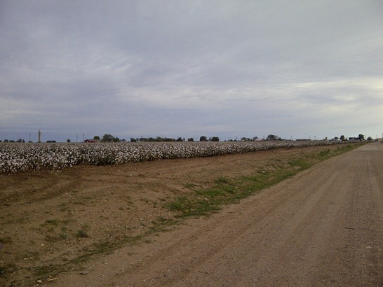 [IMG-20111008-01183%255B3%255D.jpg]