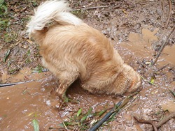 [Trekking%25202%2520%2528188%2529%255B4%255D.jpg]