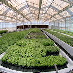 Abdly Glass house 15--8-07