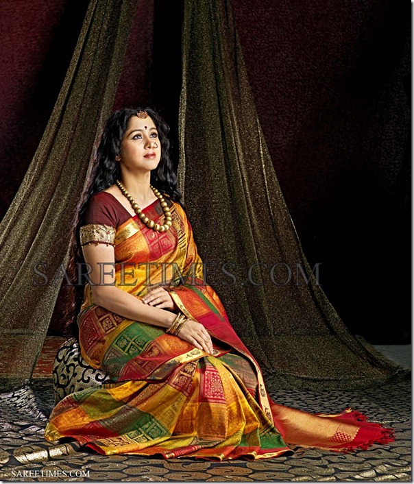 Devayani_Saree_Ad_Photoshoot (2)