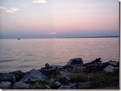 100_0365 100_0365