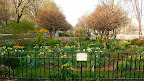 A big sweep of parkland that makes up a major promenade helping channel the nearly 2 million annual visitors to and through the space. One 'must see' is this display garden near 87th Street.