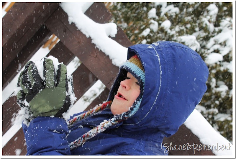 brett snow 3