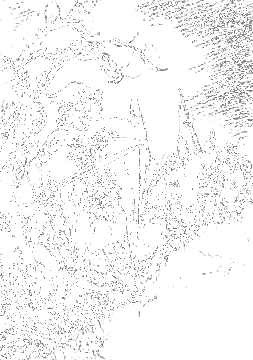 Siegmund Protects Sieglinde From Hunding, Asatru Gods And Heroes