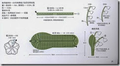 winter lily-diagram