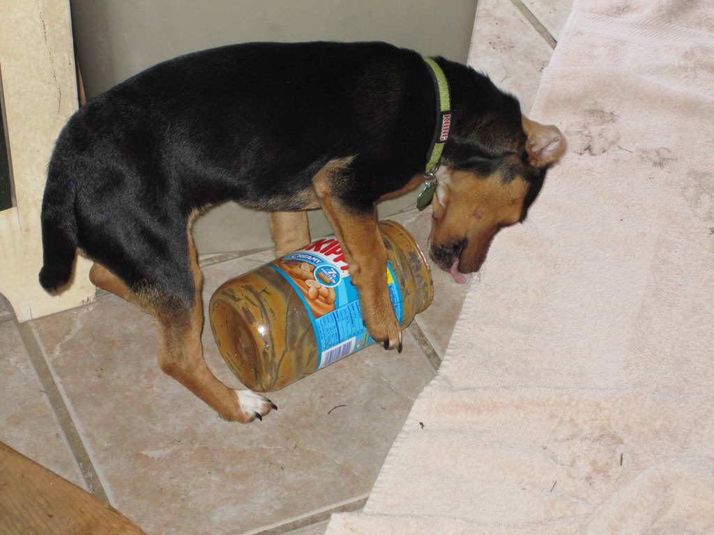 [IMG_2342%255B4%255D.jpg]