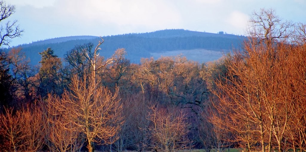 [25%2520Dec%252011%255B3%255D.jpg]