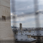 DSC_0169.jpg