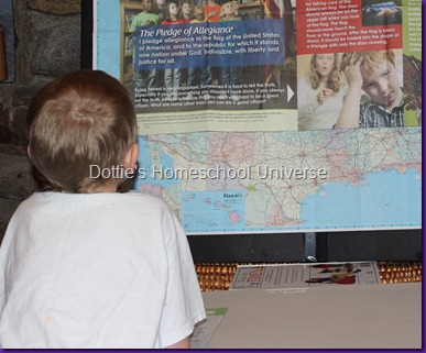 IMG_1260 IMG_1260