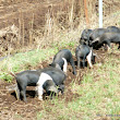 P1200100.jpg P1200100.jpg