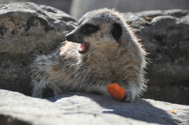 [DSC_0931%255B8%255D.jpg]