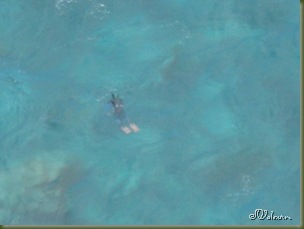 SAM_0206 SAM_0206