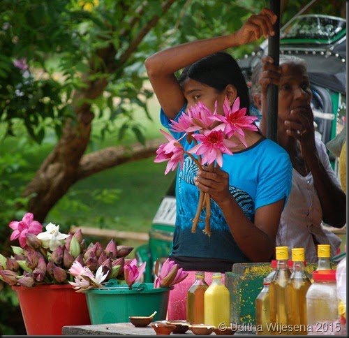 DSC_0349 DSC_0349