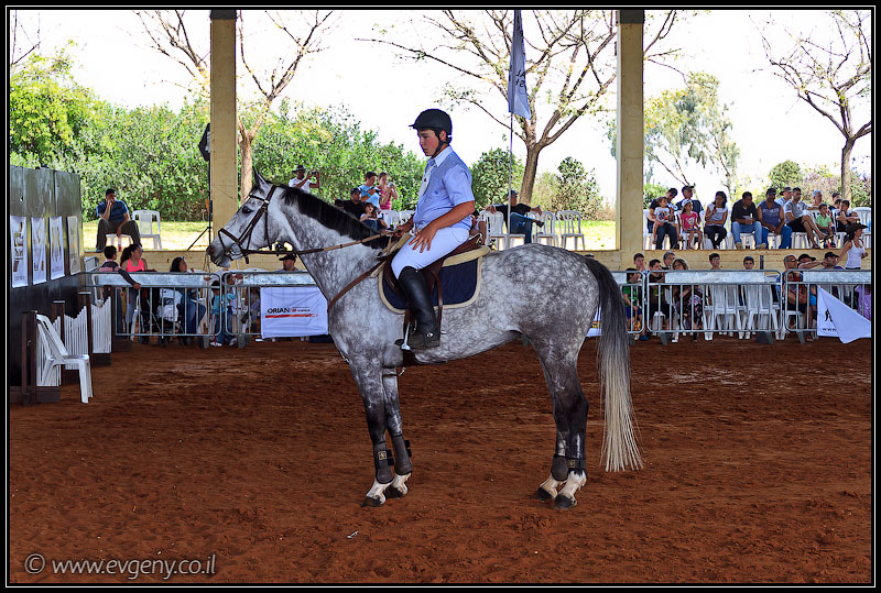 il/Фото: Stallion Show 2011 (20110416 stllion show 009 2001)