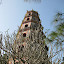 Temple