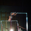DSC05130.JPG