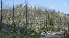 IMG_4092.jpg