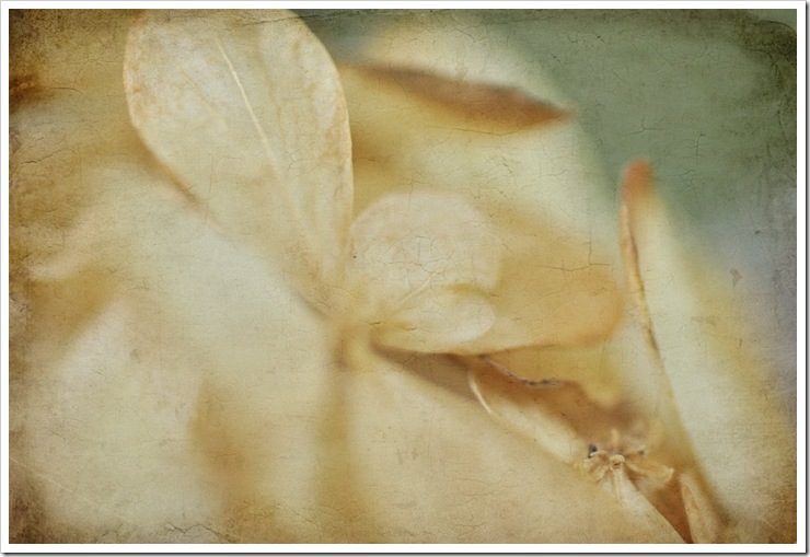 vintage 021