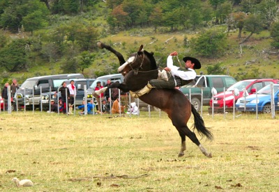 IMG 4794