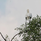 IMG_6670.JPG