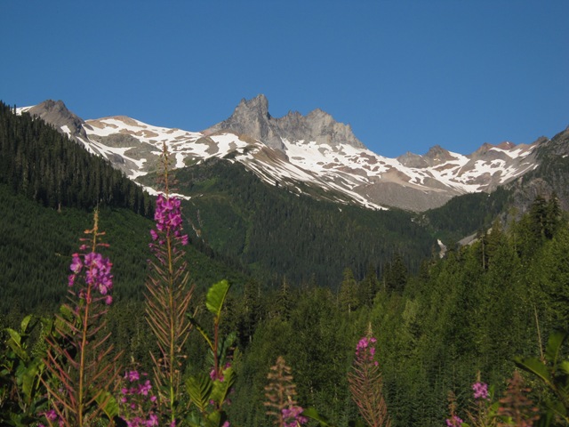 [IMG_56513.jpg]
