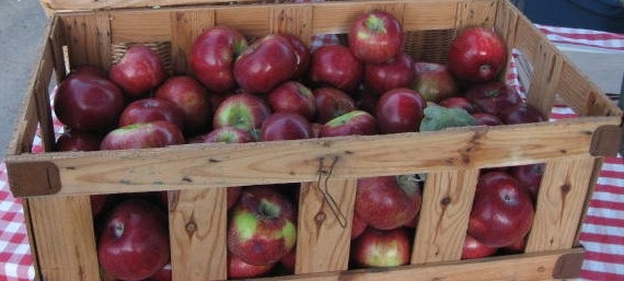 [cortland%2520apples%255B4%255D.jpg]