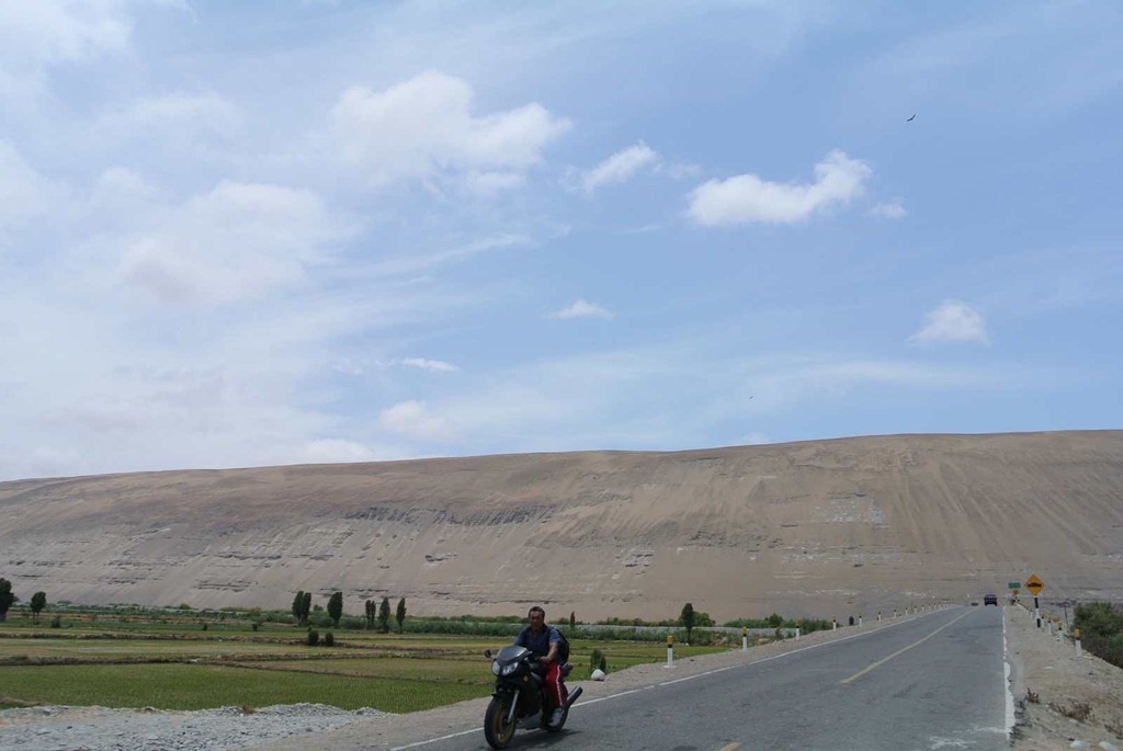 [DSC_71913.jpg]