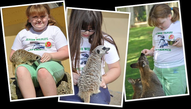 View Lily & Shanelle 3