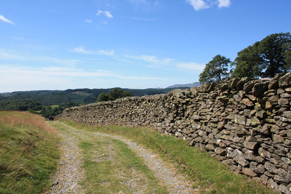 [IMG_08964.jpg]