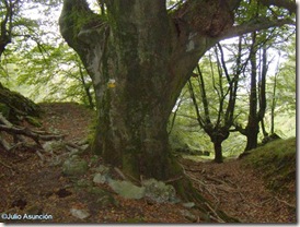 Gran haya en el descenso del Anboto - Bizkaia Gran haya en el descenso del Anboto - Bizkaia