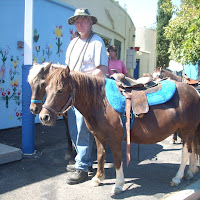 Pony Rides