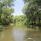 IMG_5785.JPG