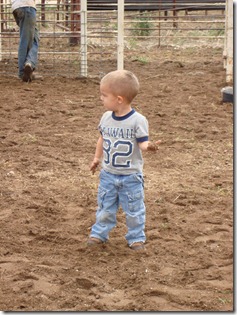 DIG102007 360