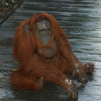 Ouuu, gibt nichts mehr. :-(