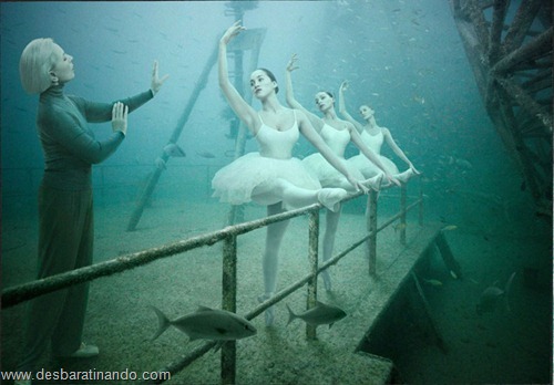 vandenberg underwater photography fotos submarinas navio naufragado desbaratinando (8) vandenberg underwater photography fotos submarinas navio naufragado desbaratinando (8)