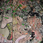 DSC00344.JPG
